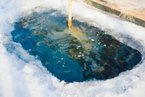 Winter Pond Care